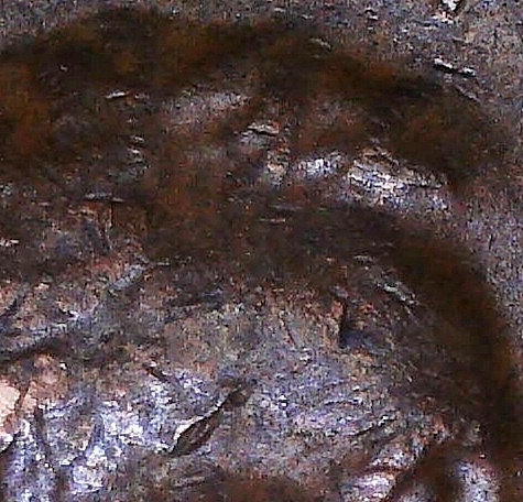 1972-D-LMC...metal-And-A-Few-Letters-Doubled-On-The-Obverse.